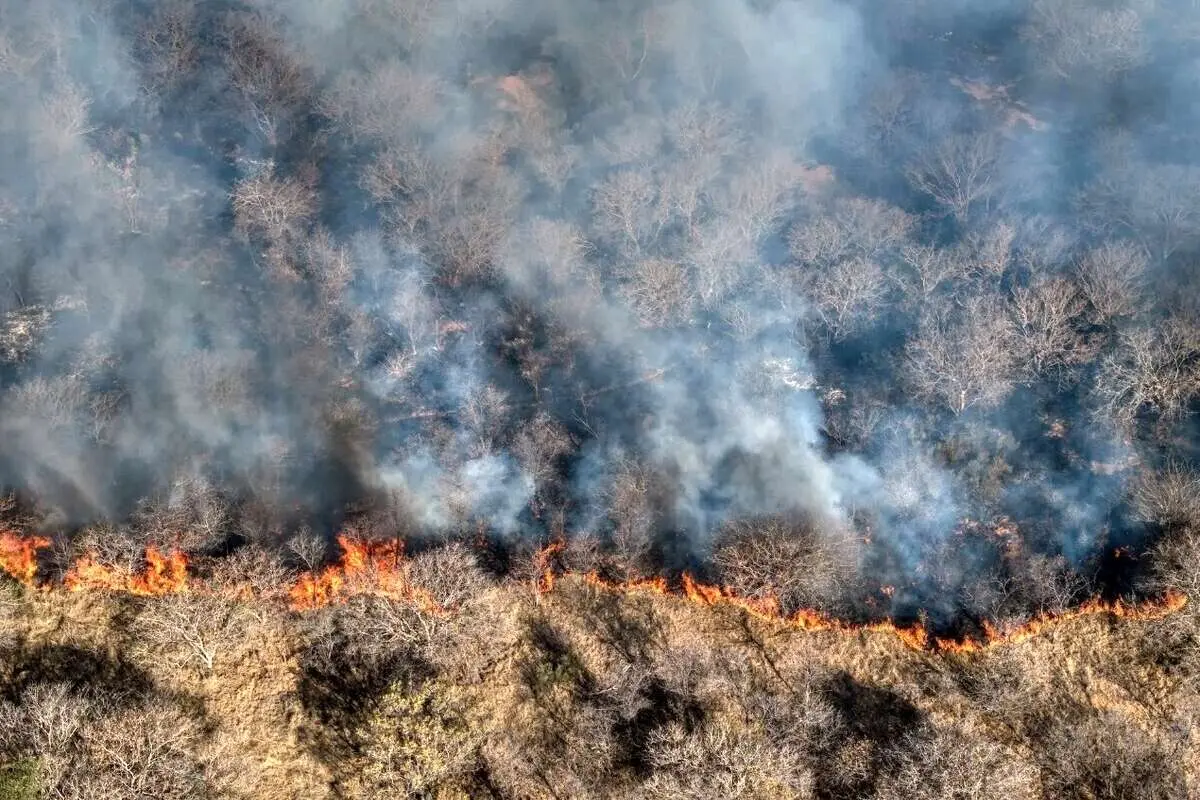 (ویدئو) تصاویر هوایی از جنگل‌های پلدختر بعد از آتش‌سوزی