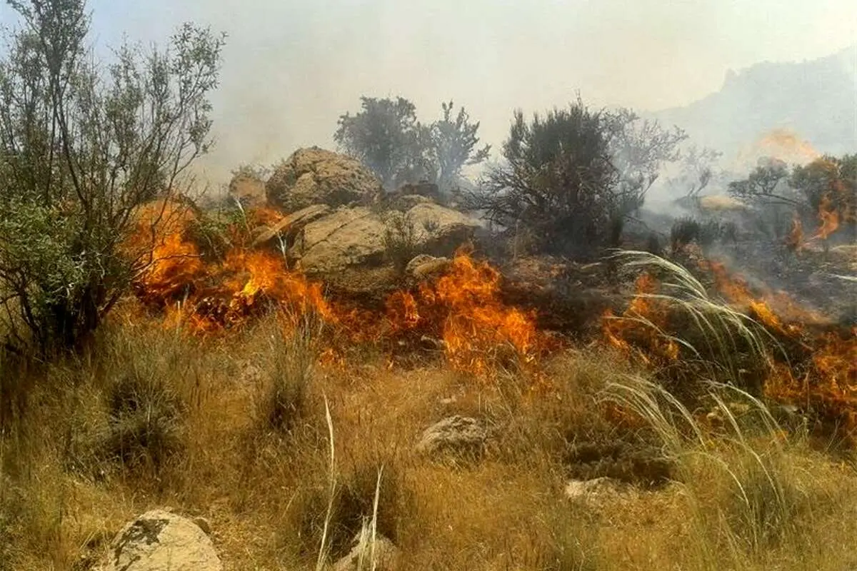 جنگل‌های پلدختر بعد از سه روز همچنان می‌سوزند