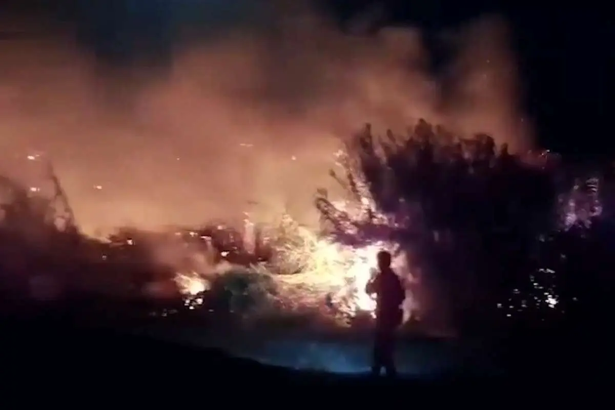(ویدئو) آتشسوزی نخلستانهای روستای پوسار در شهرستان خاش