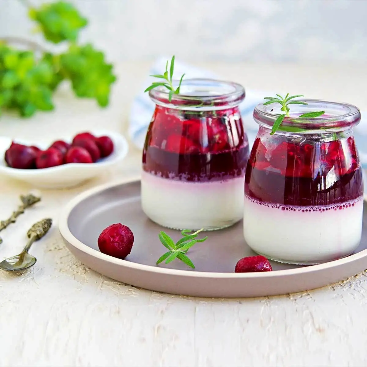 پودینگ با سس آلبالو، یک دسر مجلسی و خوشمزه