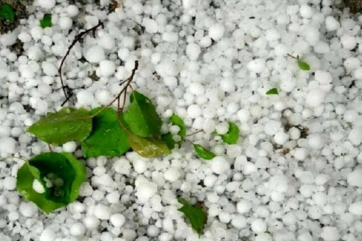 (ویدئو) بارش تگرگ تابستانی در سرابِ آذربایجان شرقی
