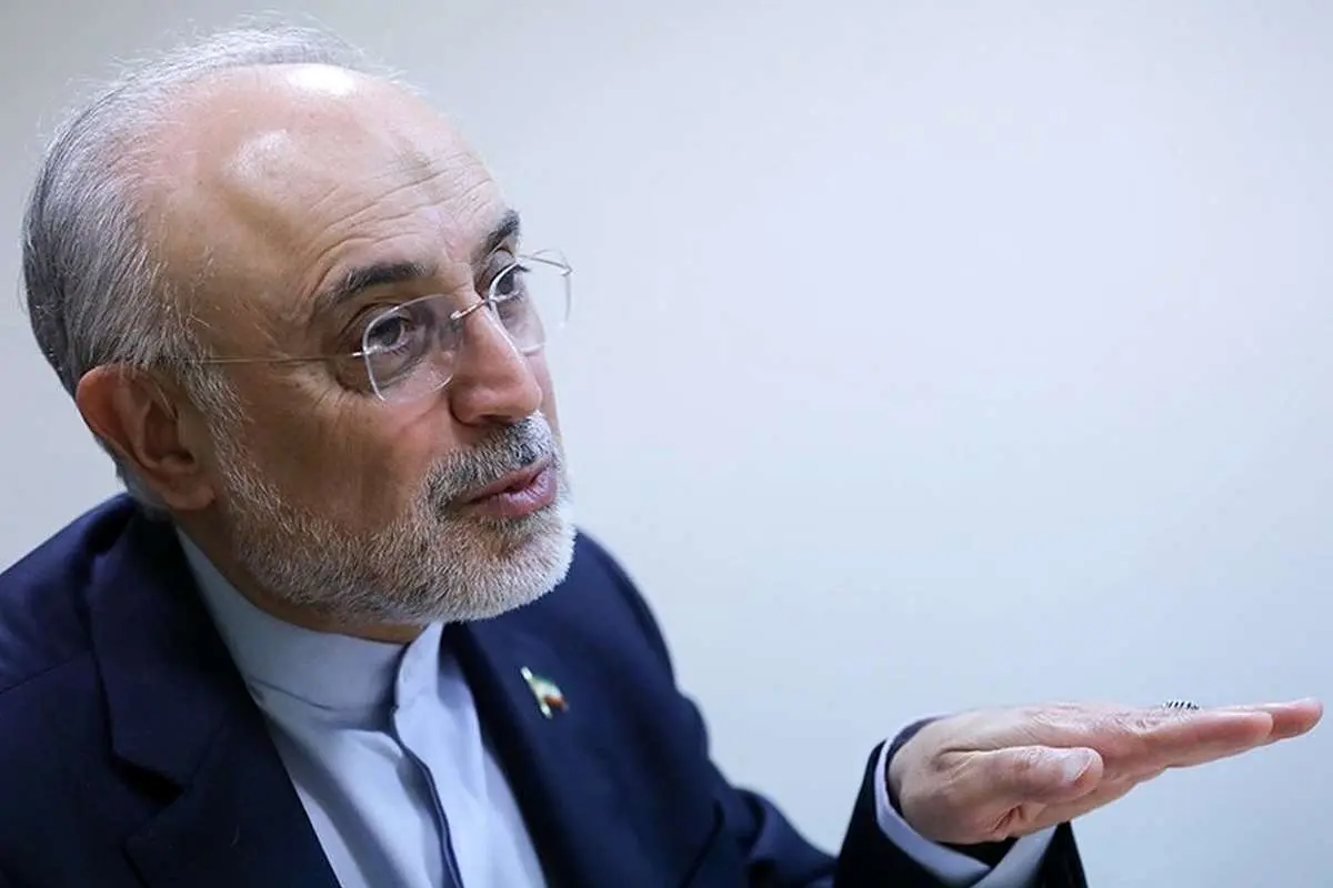 پیشنهاد علیاکبر صالحی به دولت منتخب