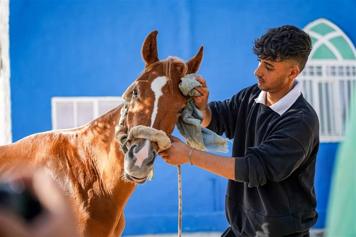 تصاویر؛ حرکت اسب‌سواران به سوی حرم رضوی