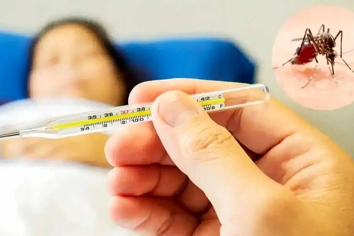 هشدار شیوع تب دنگی؛ ۱۴۶ بیمار در ایران