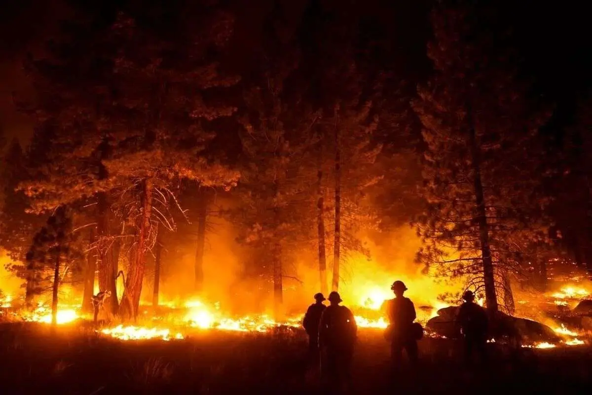 جنگل‌های کرخه در آتش سوخت!