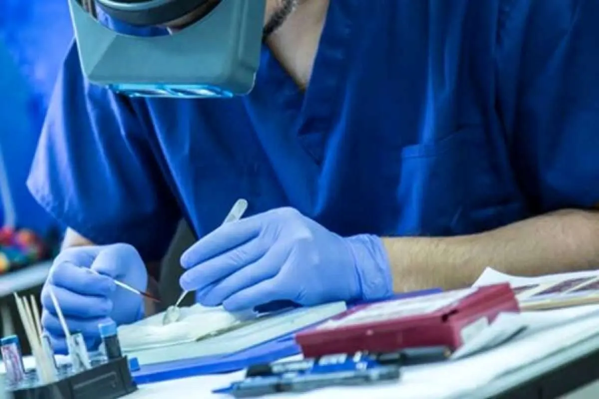 شناسایی بیش از ۵۰۰۰ نوع ژن پرخطر سرطان