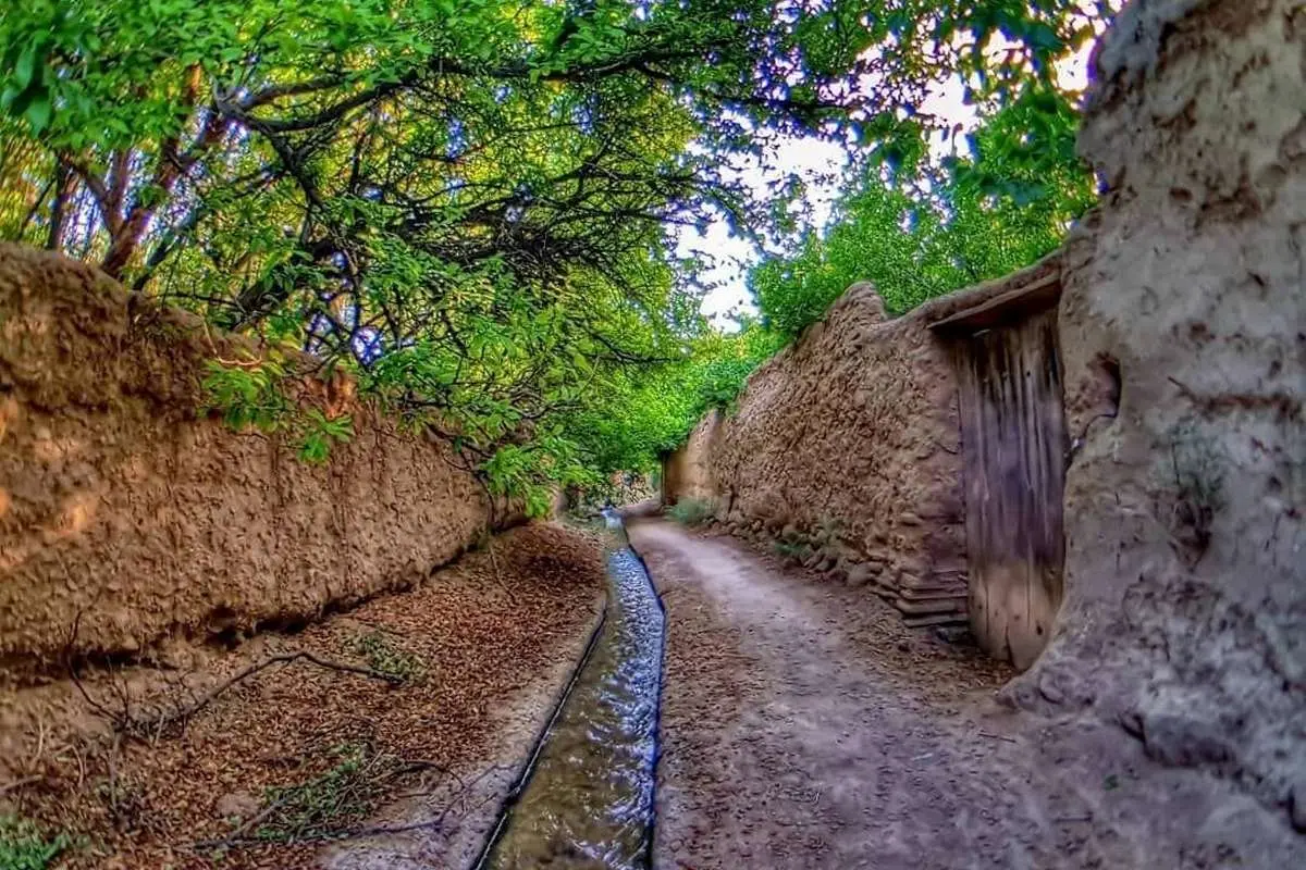 تفال به حافظ شنبه ۲۳ تیر ۱۴۰۳؛ تا ز میخانه و می‌نام و نشان خواهد بود..