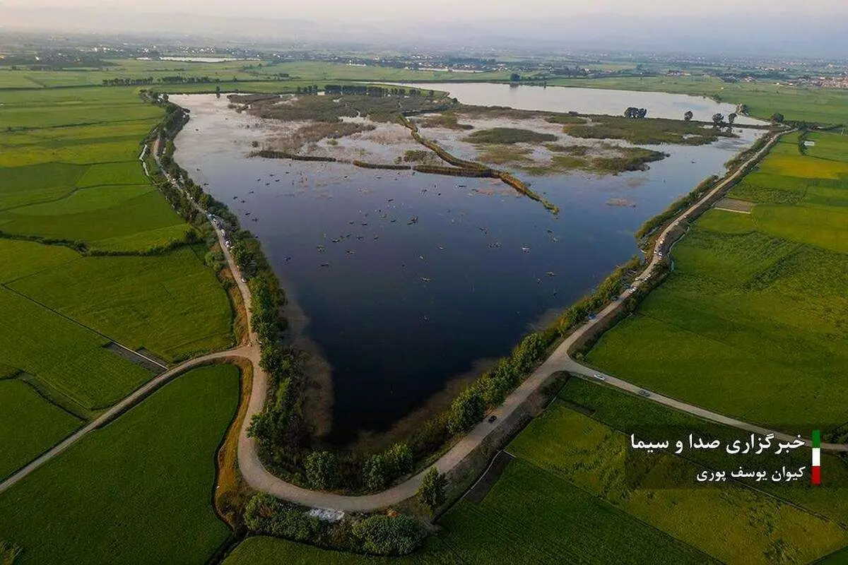 (تصاویر) قُرُق شکنی آب بندان ماهی در مازندران