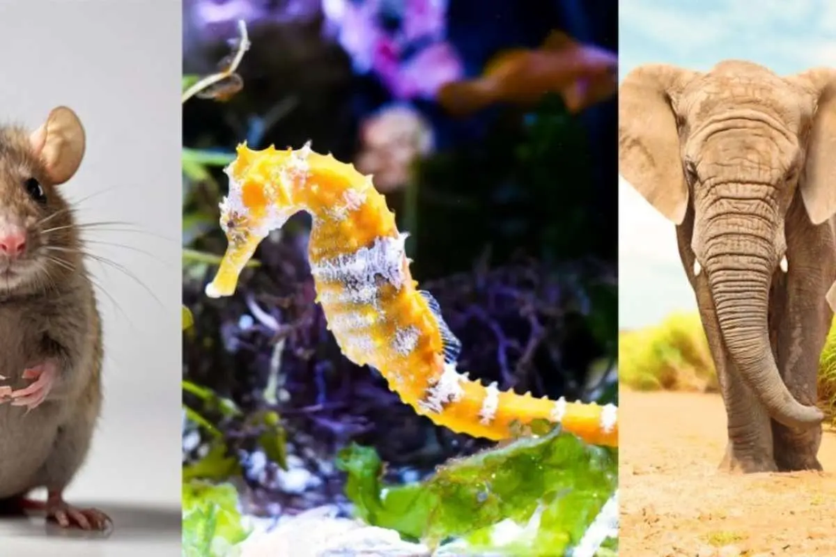 (تصاویر) عجیب‌ترین حقایق درباره دنیای اطراف ما