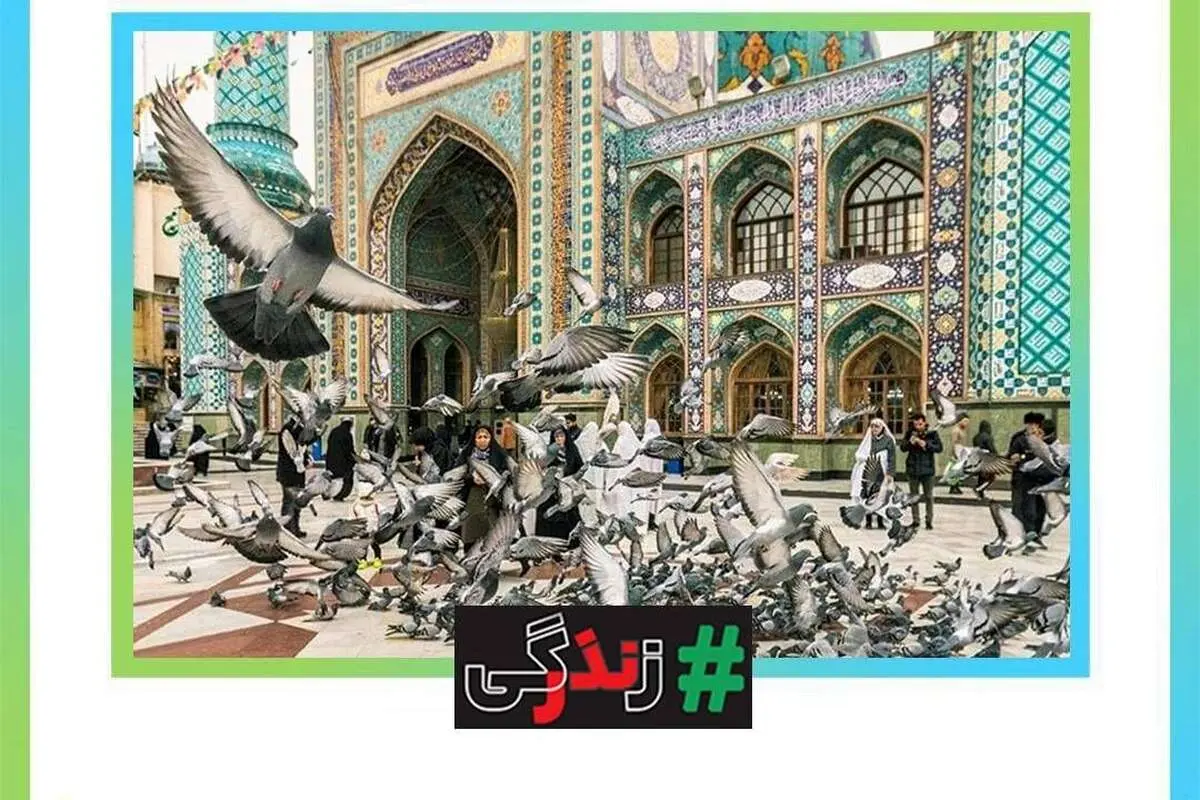 اهدای عضو ... نذر زندگی