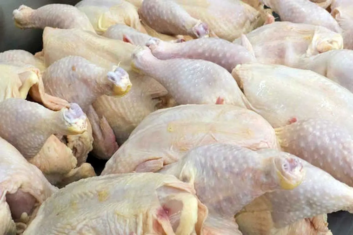 عوارض واردات مرغ و گوشت ابلاغ شد