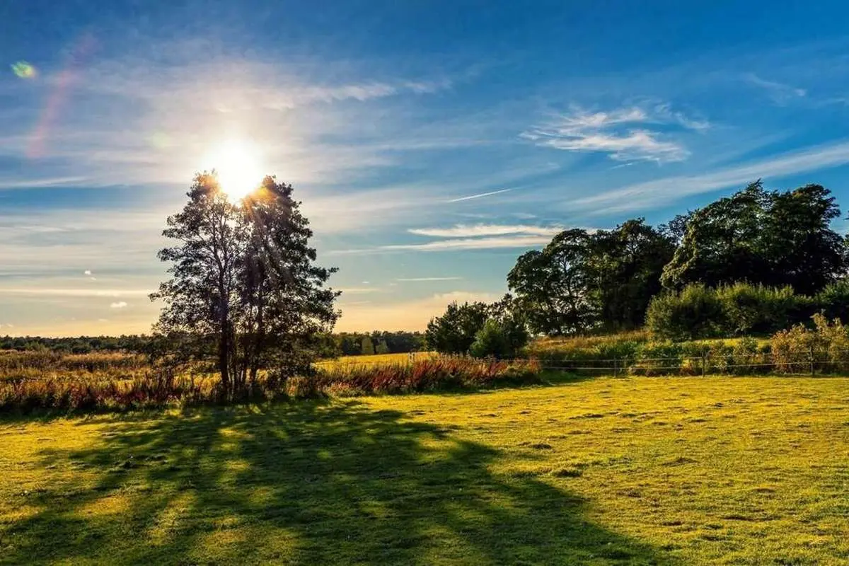 تفال به حافظ دوشنبه ۱مرداد ۱۴۰۳؛ زان یار دلنوازم شکریست با شکایت..