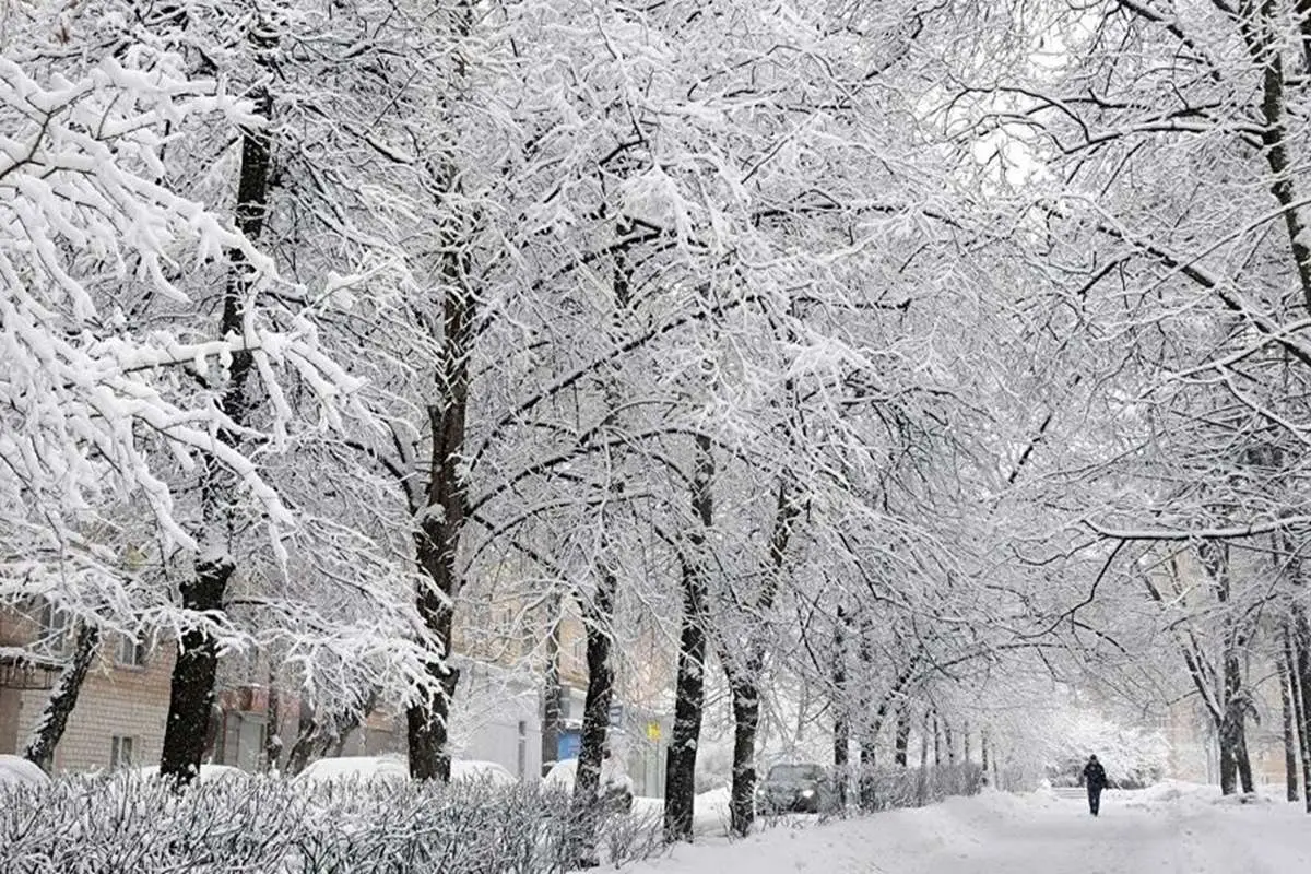 (تصاویر) زمستان در تابستان سبلان؛ برفروبی در اوج گرما