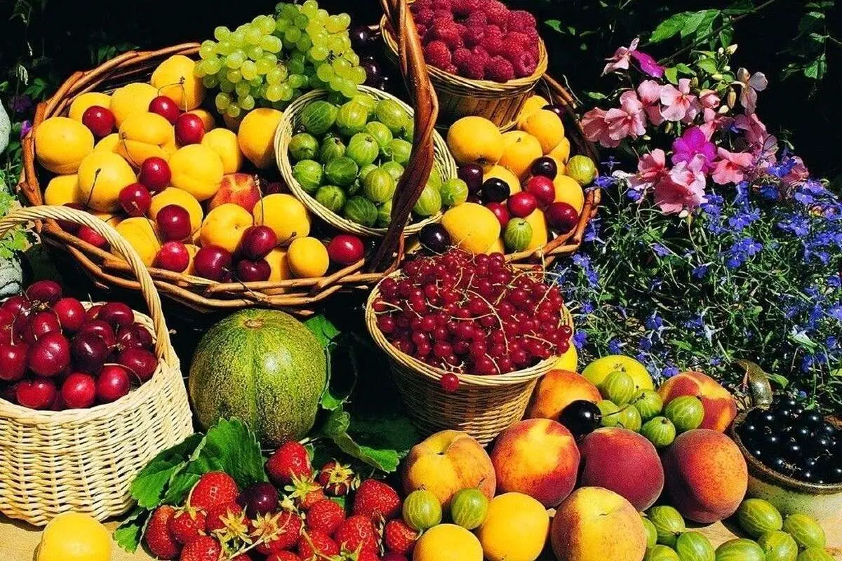 مصرف میوه‌ها و سبزیجات را در تابستان بیشتر کنید