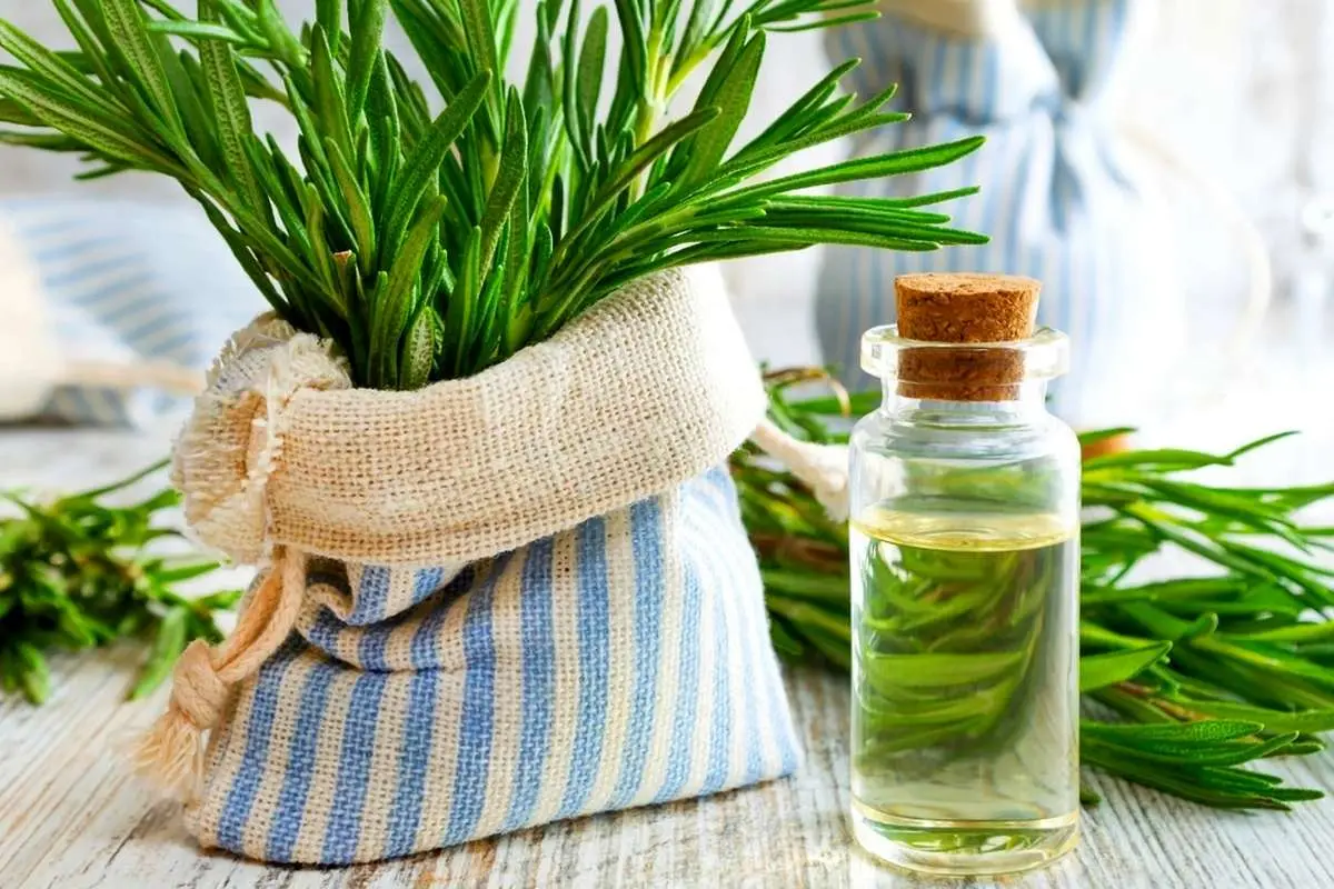 خواص بیشمار روغن رزماری برای موهایتان