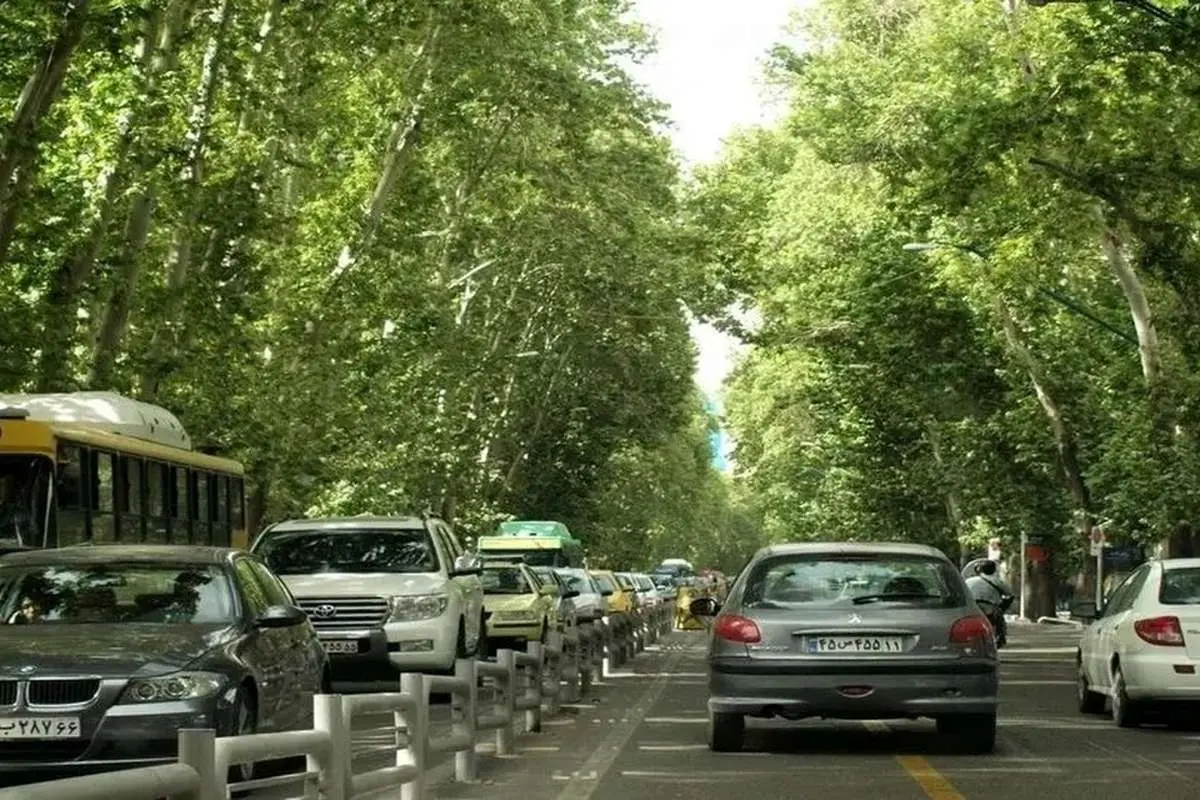 آخرین وضعیت آفت زدگی درختان خیابان ولیعصر