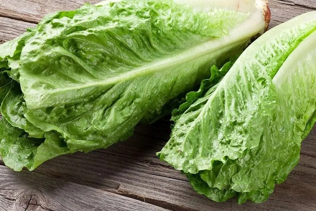 خواص کم‌نظیر کاهو برای سلامتی