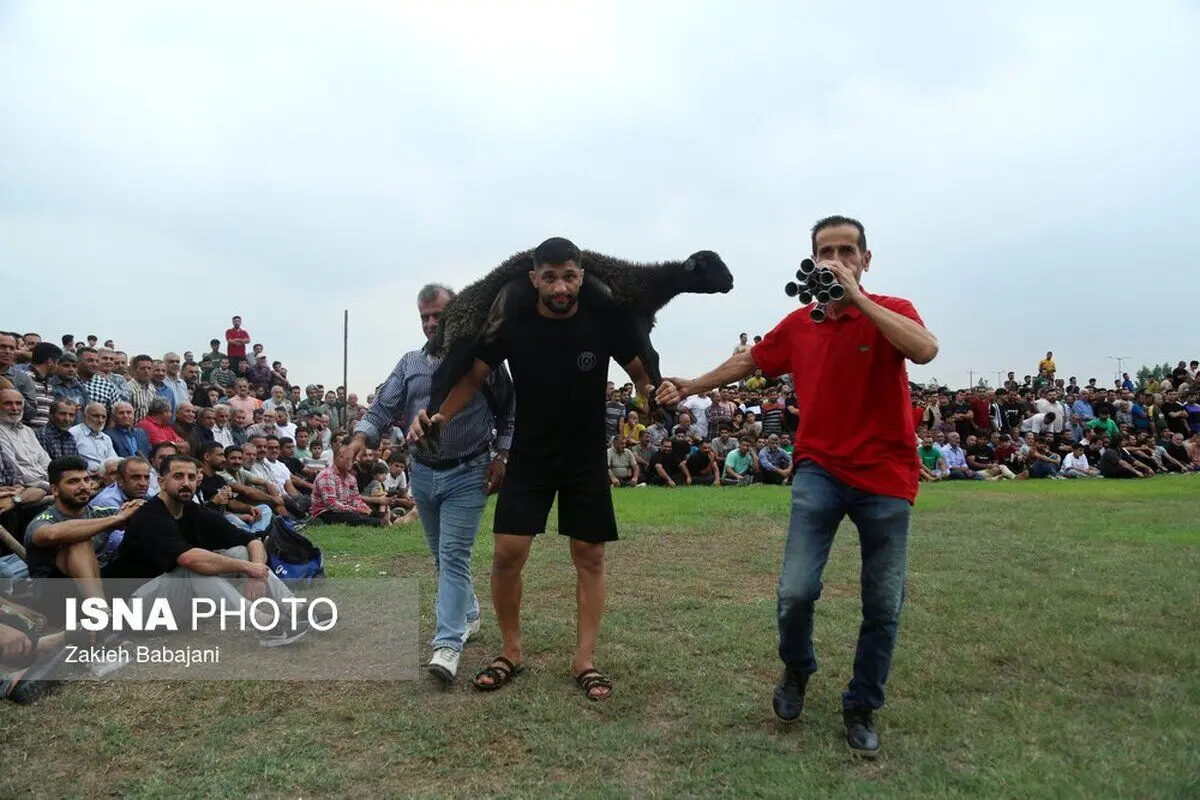 (تصاویر) مسابقات کشتی لوچو در مازندران