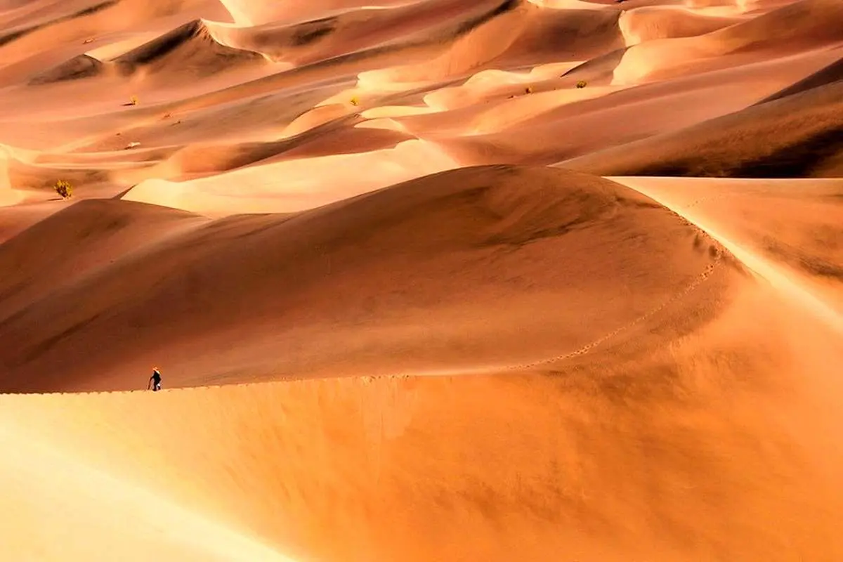 پیدا شدن افراد غیر بومی مفقود در کویر لوت