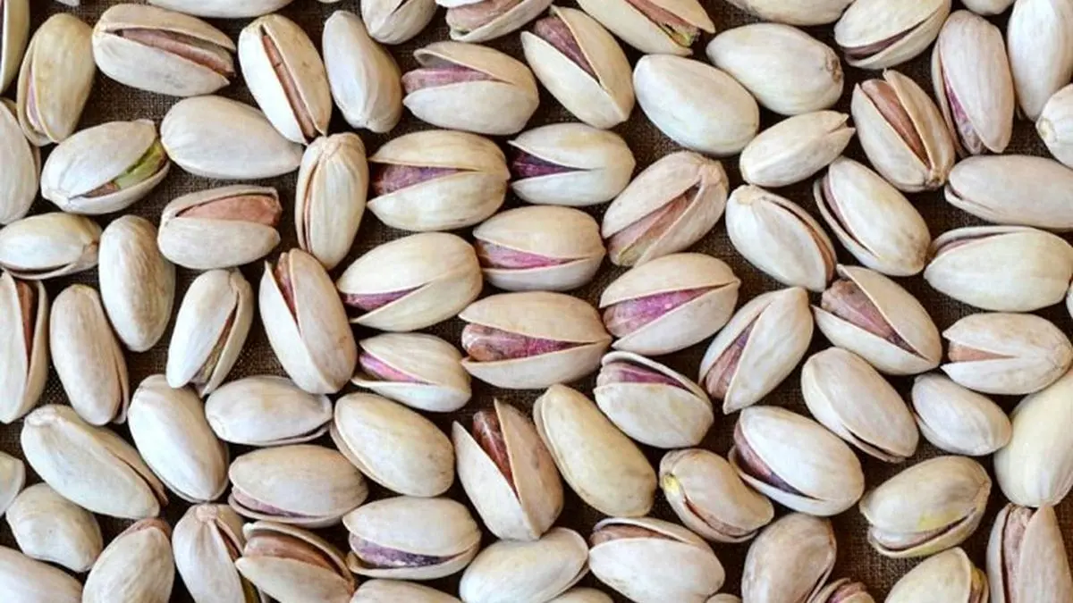 صادرات پسته به ۳۵۲ میلیون دلار رسید