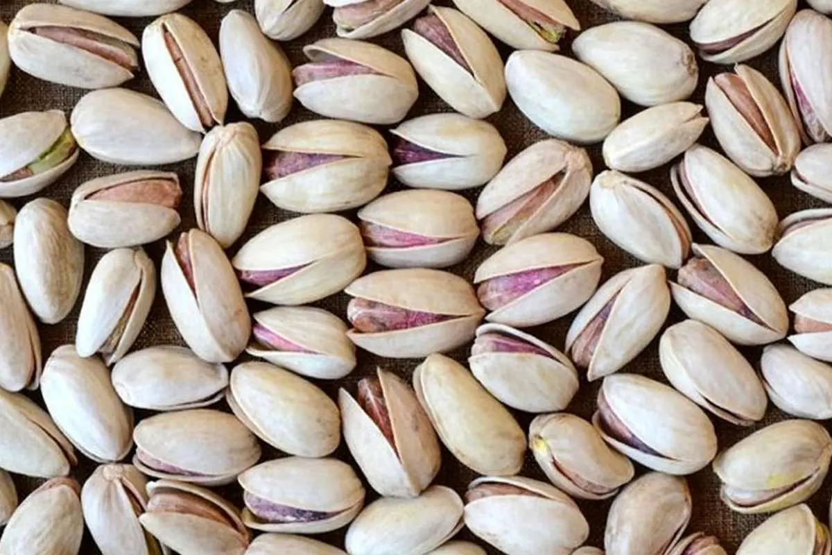 صادرات پسته به ۳۵۲ میلیون دلار رسید