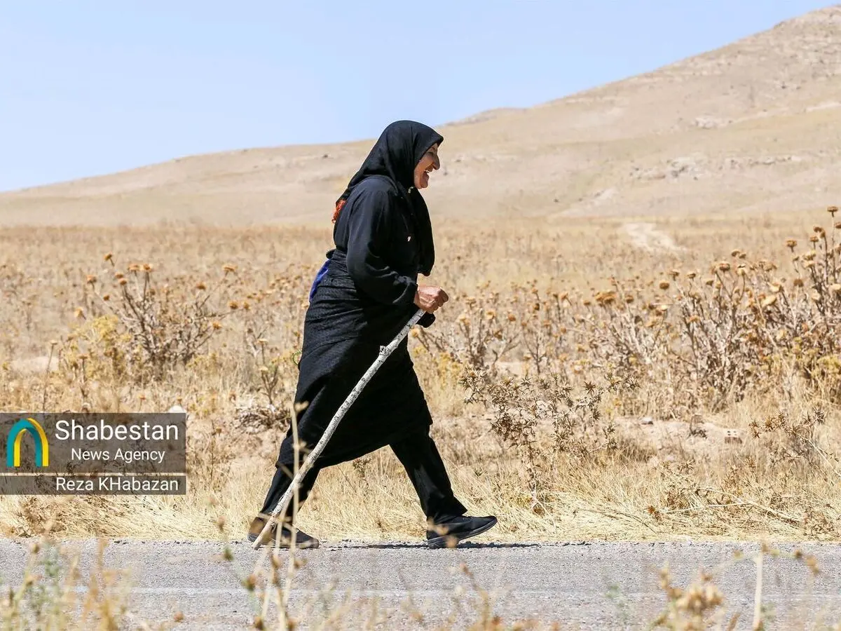 (تصاویر) زائران پیاده حرم امام رضا(ع)