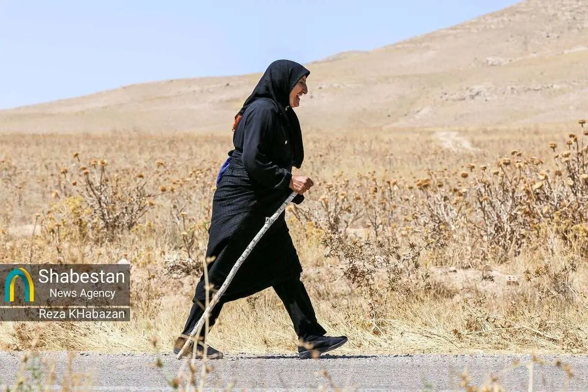 (تصاویر) زائران پیاده حرم امام رضا(ع)