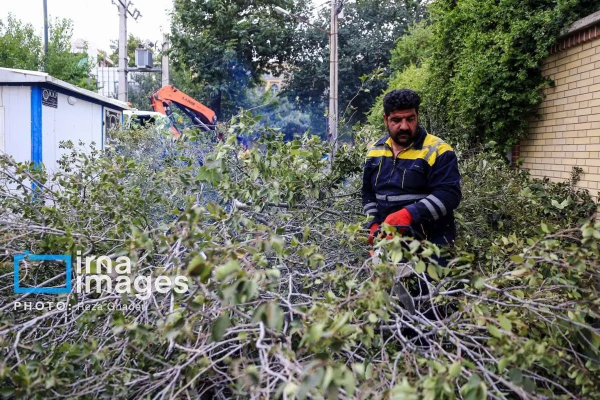 (تصاویر) خسارتهای طوفان در شیراز
