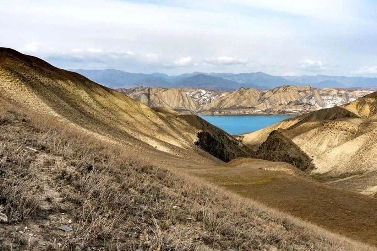 (تصویر) کشف یک هیولای ۱۶۵ میلیون ساله در قرقیزستان