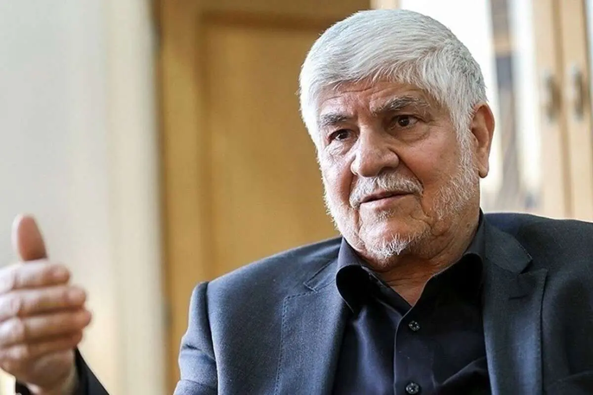 محمد هاشمی: سهم دولت از قدرت کم‌تر از یک سوم است