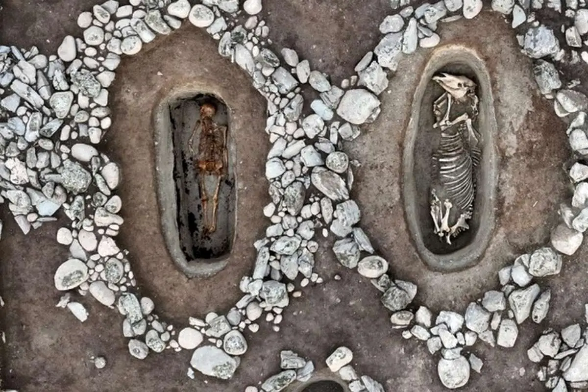 کشف مقبره‌های ۲ هزارساله «اسب و انسان»