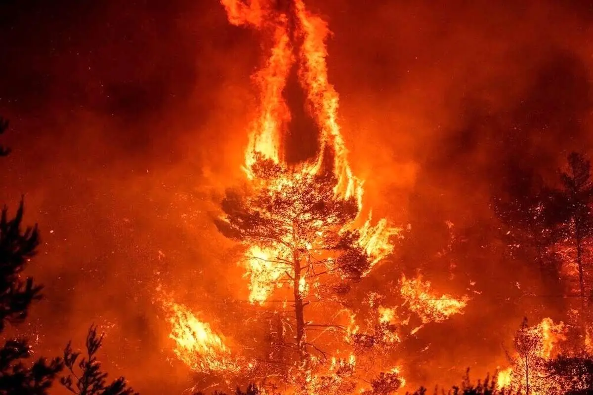 (ویدیو) آتش‌سوزی گسترده در ارتفاعات گیلانغرب