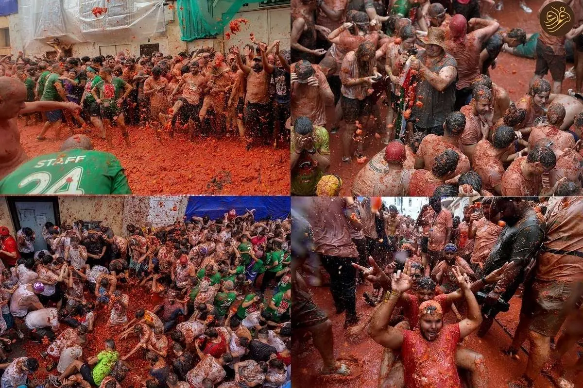 (تصاویر) جشنواره جنگ گوجه فرنگی در اسپانیا