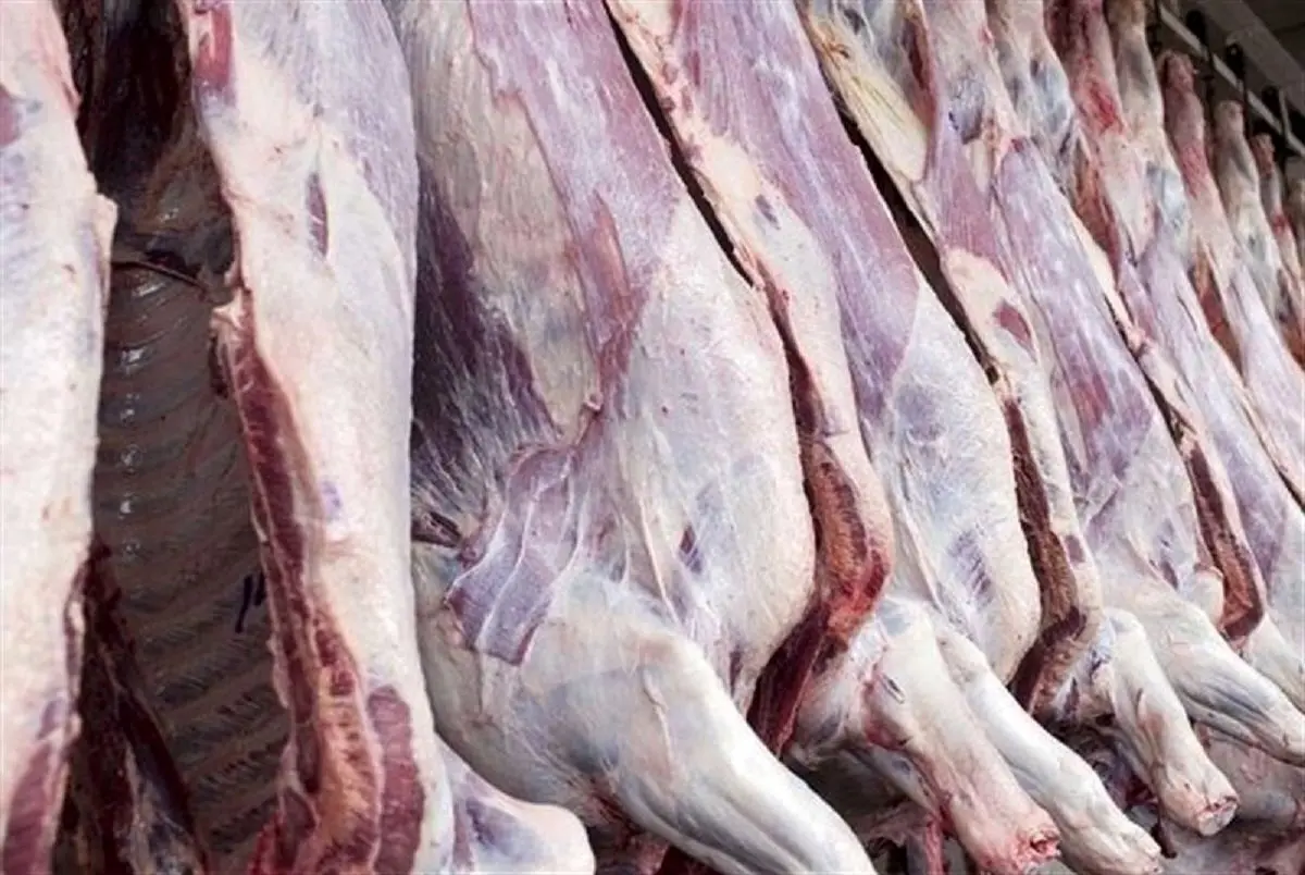 قیمت گوشت قرمز امروز ۹ شهریور ۱۴۰۳