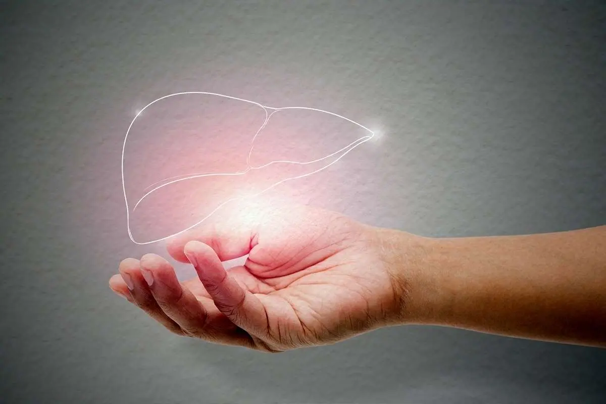 ۱۲ داروی گیاهی چربی کبد