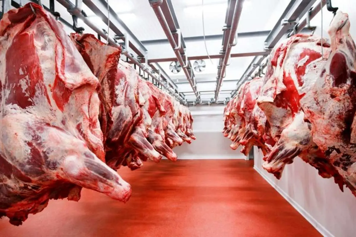 قیمت جدید گوشت امروز ۱۳ شهریور ۱۴۰۳ اعلام شد