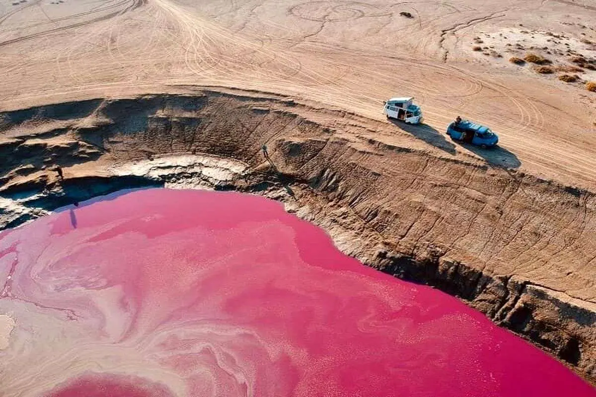 (ویدئو) گلفشان؛ پدیده‌ای عجیب که دریاچه را صورتی کرده‌ است