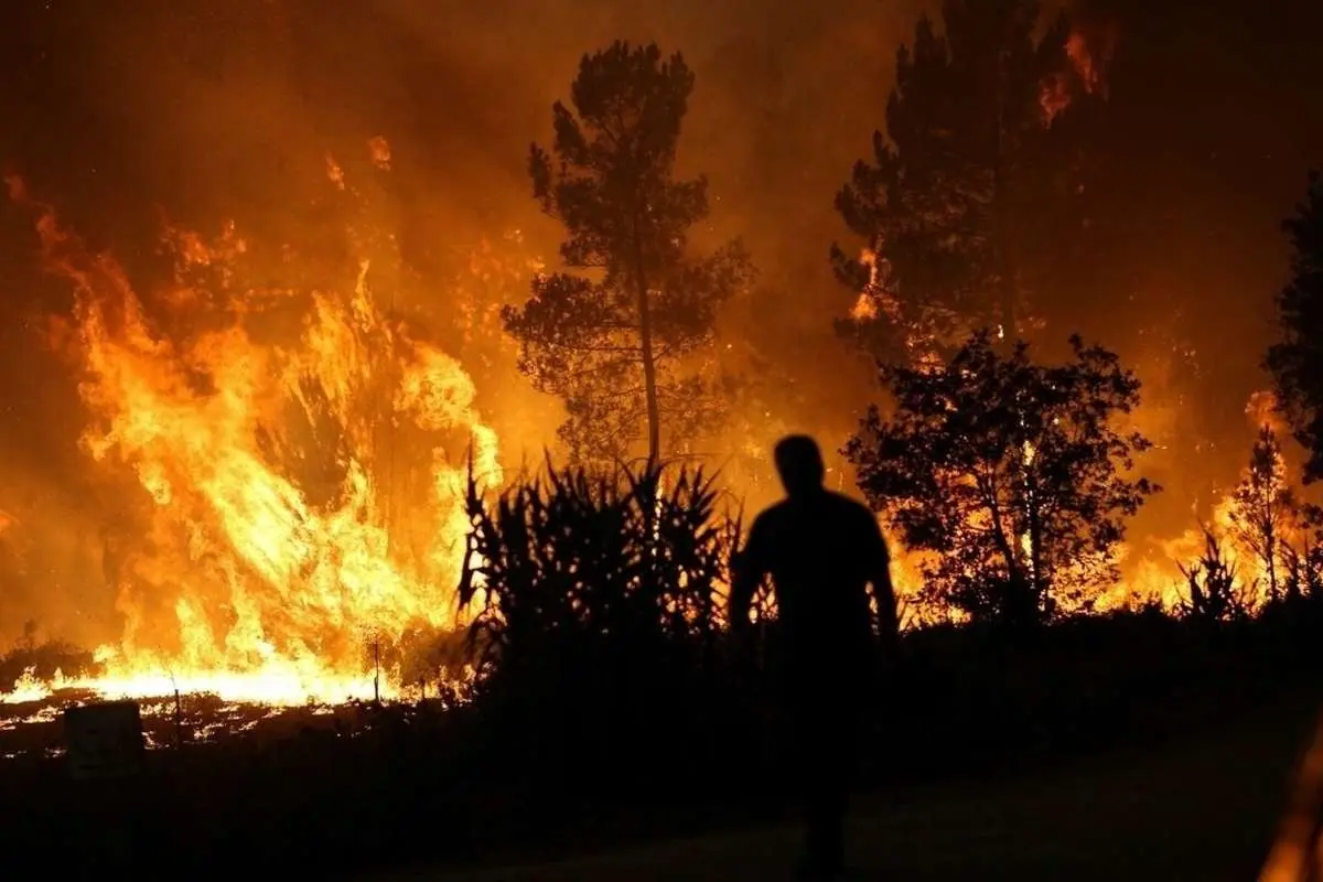 (ویدئو) ساعتی قبل، آتش سوزی در پارک جنگلی سرخه حصار