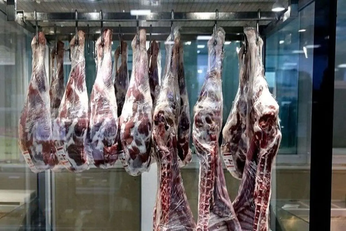 وارد کنندگان ارز ترجیحی میگیرند، ولی گوشت را ۲ برابر گرانتر عرضه میکنند!