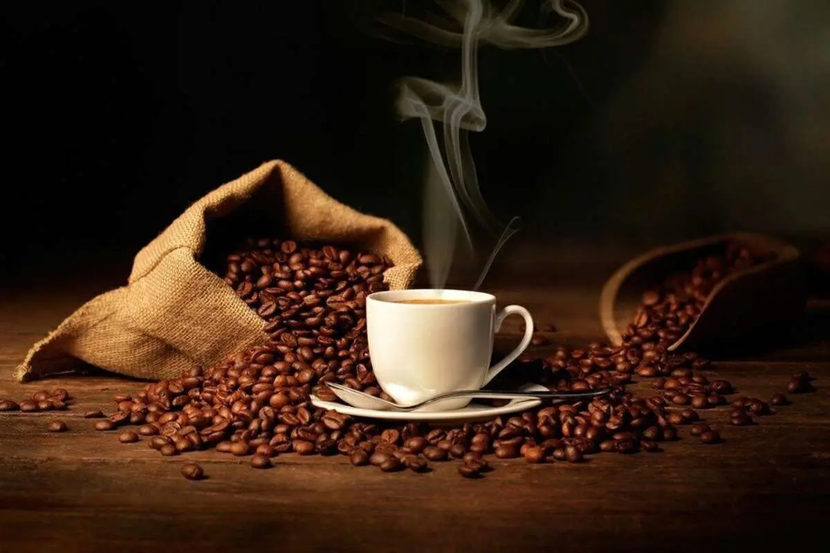 قهوه عربیکا چیست؟