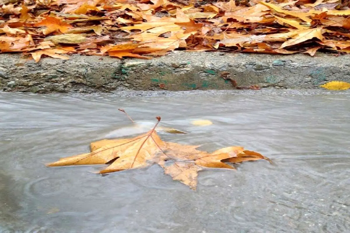 موج گرما تمام شد؛ آغاز فصل پاییز با تأخیر