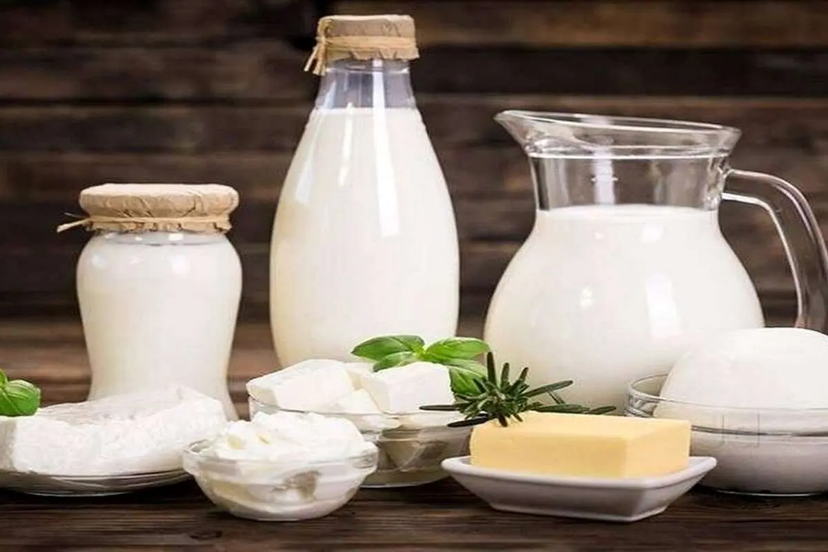 لبنیات دوباره گران میشود؟!