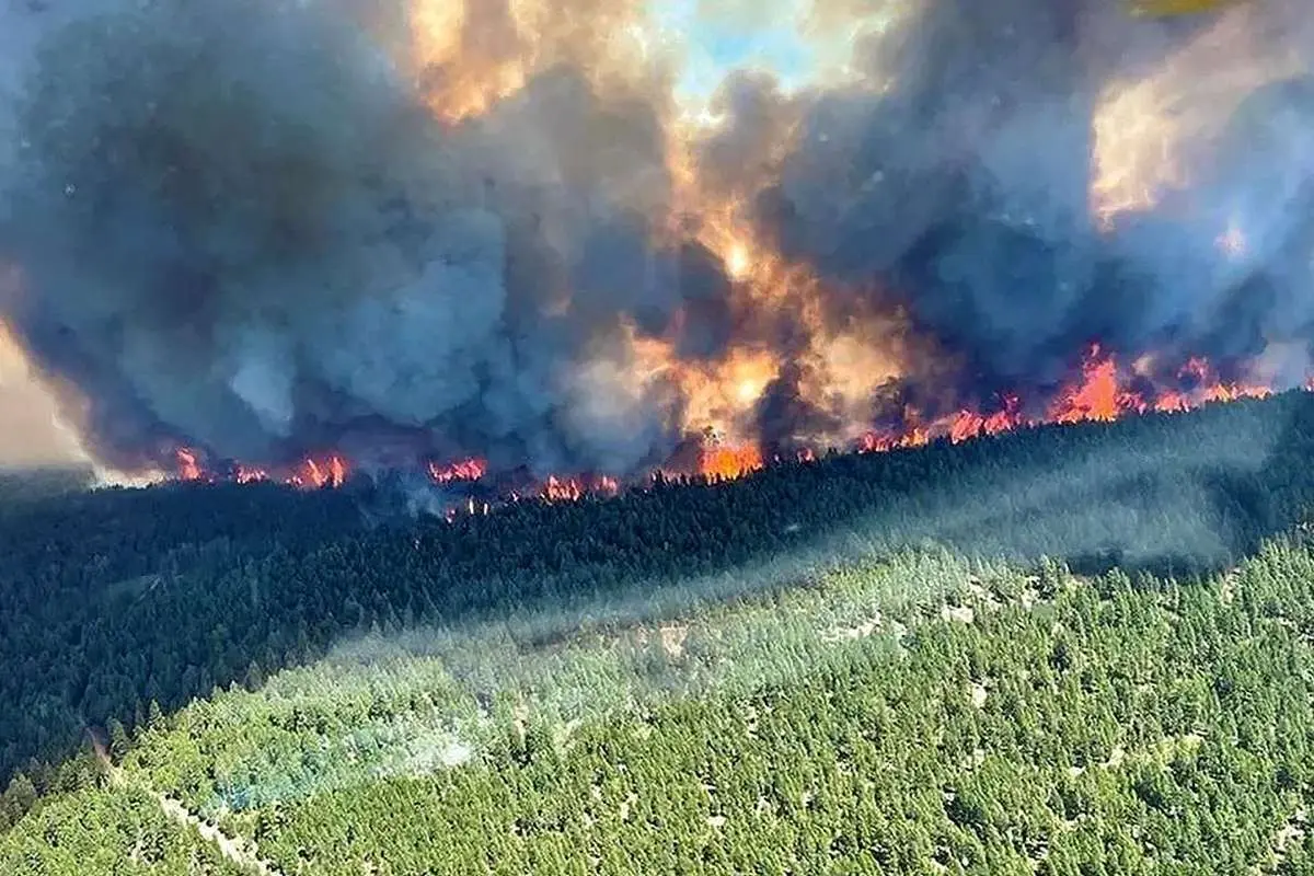 (ویدئو) تصاویر هولناک از آتش‌سوزی جنگلی در کانادا