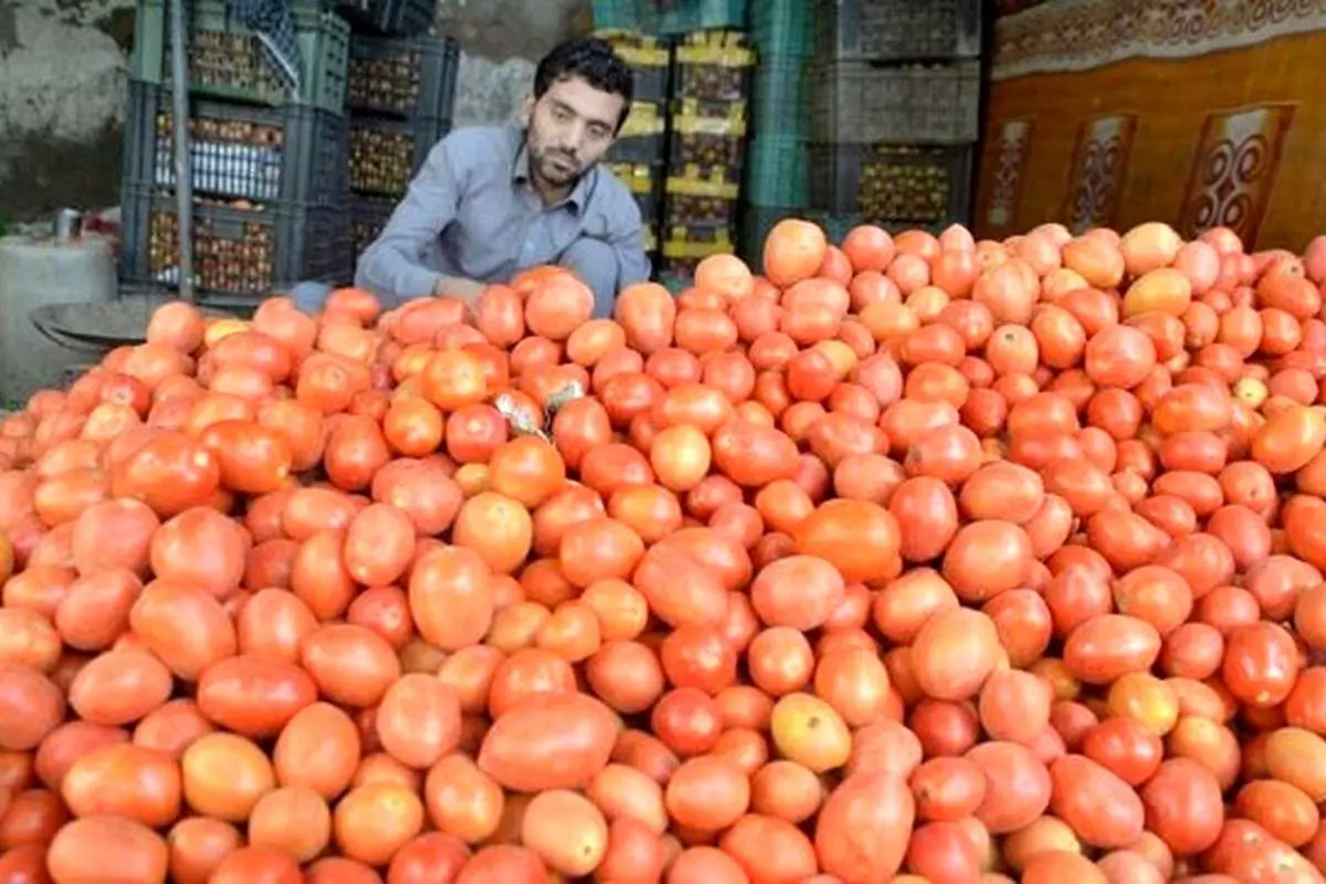 عراق واردات ۳ محصول کشاورزی را ممنوع کرد