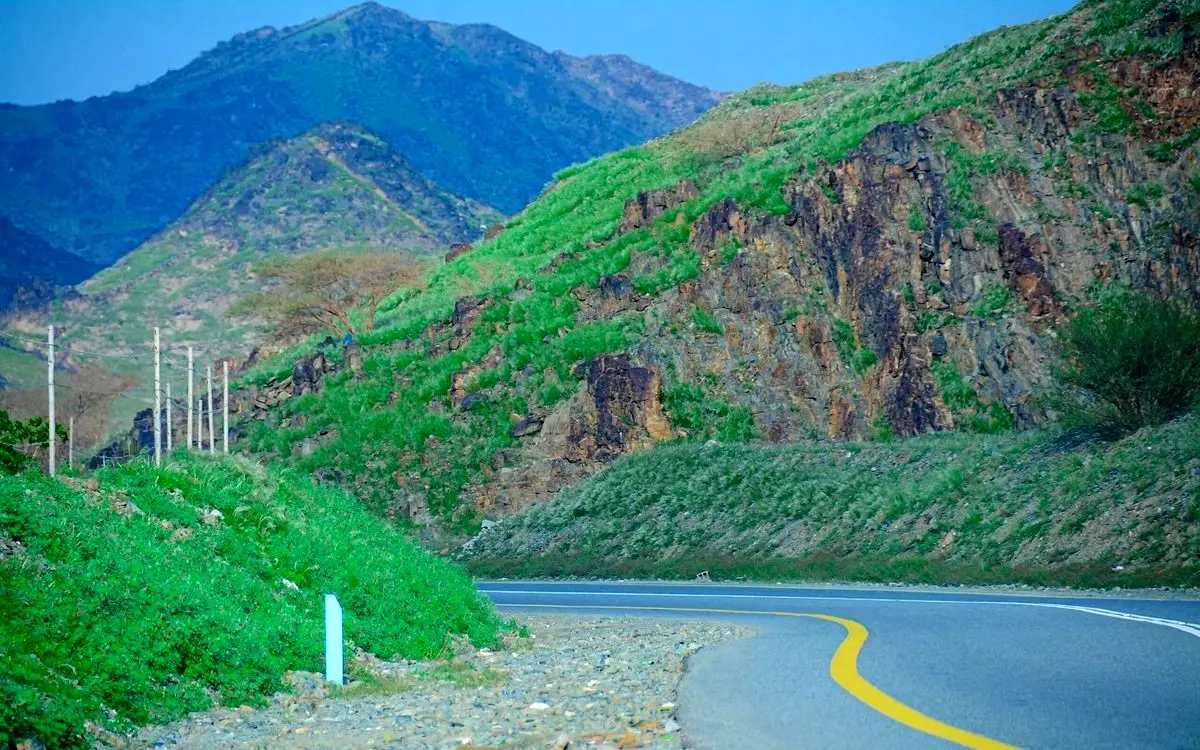 (ویدئو) کوه‌های مکه پس از بارندگی شدید سبز شده است