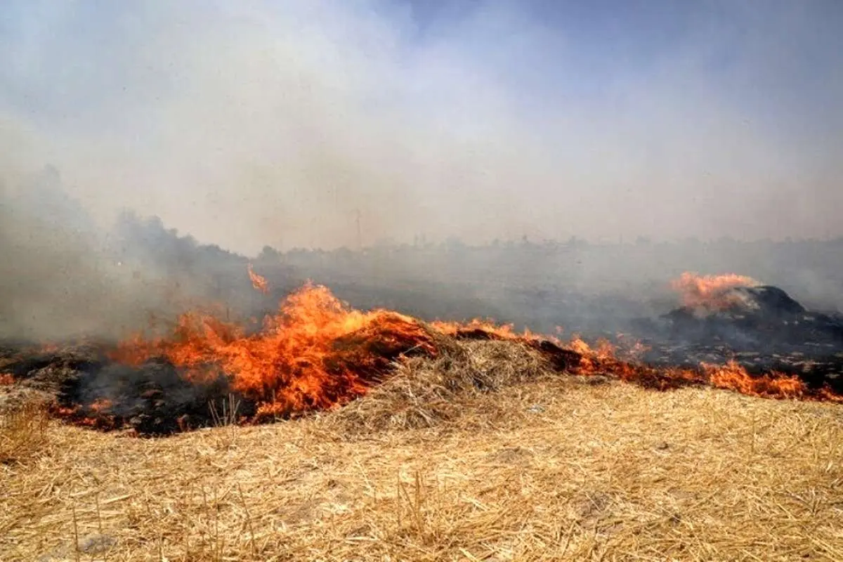 (ویدئو) آتش‌سوزی در ذخیره‌گاه دشت ارژن استان فارس