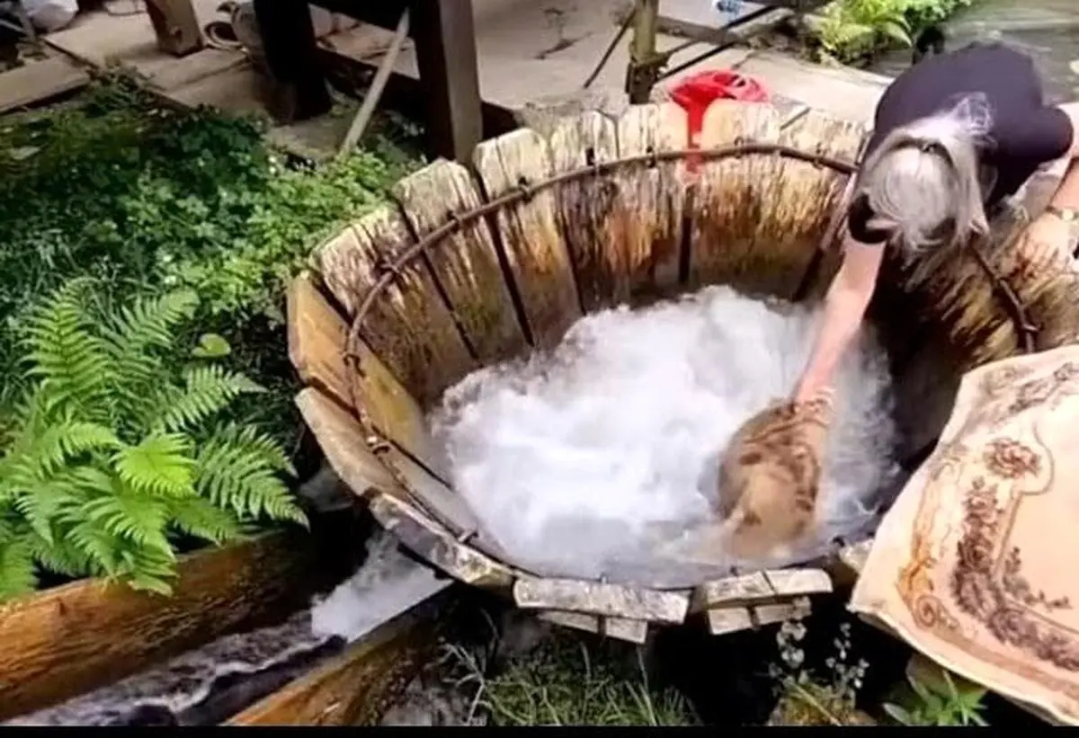 (ویدئو) ماشین لباسشویی سنتی در رومانی