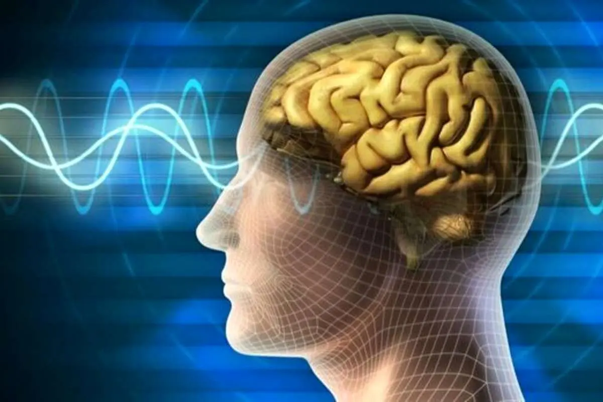 ۵ خوراکی فوق العاده برای تقویت حافظه