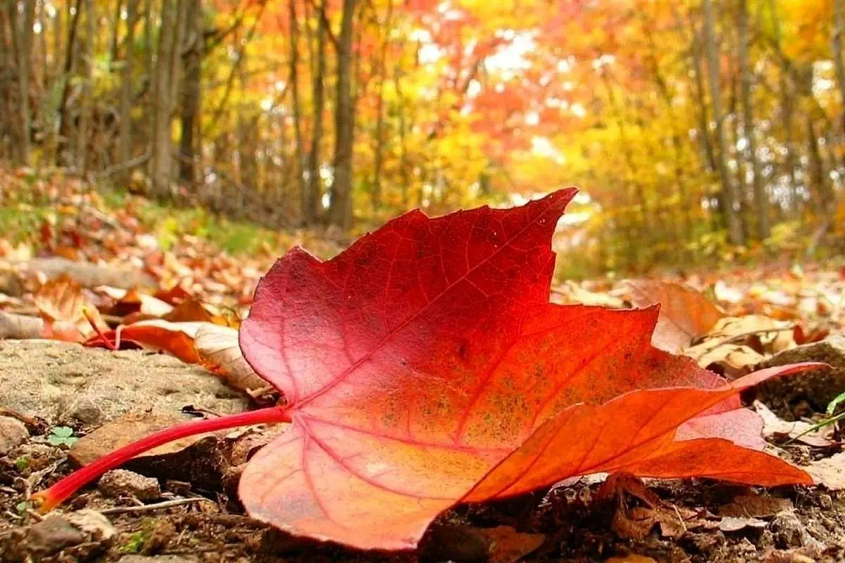 لانینا به ایران میآید؛ پاییز خشکوگرم در راه است؟