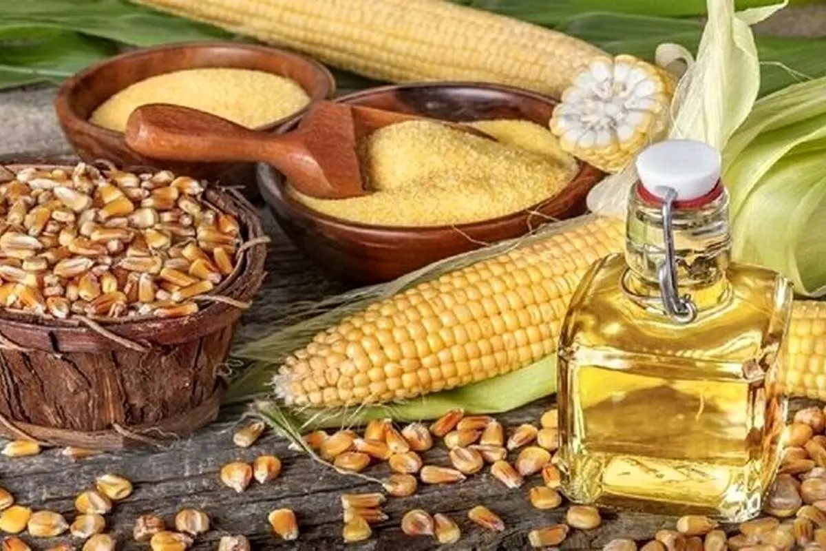 تعرفههای دانههای روغنی مشمول کاهش مالیات بر ارزش افزوده باطل شد